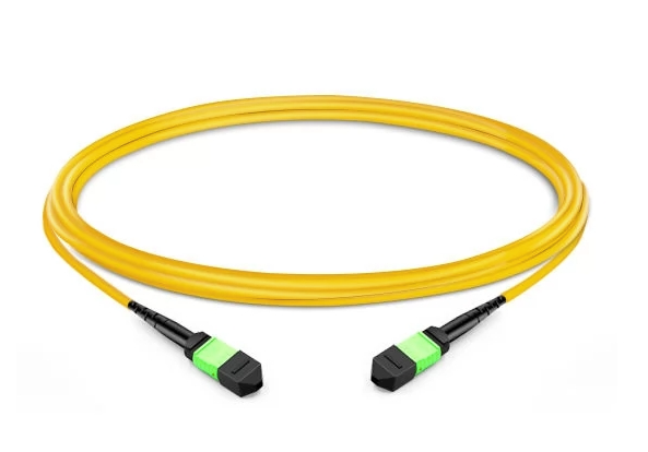 How 24F MTP Trunk Cable Supports Scalable Fiber Networks